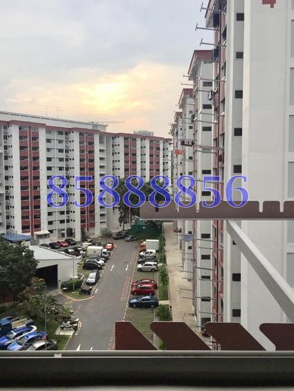 Blk 101 Woodlands Street 13 (Woodlands), HDB 3 Rooms #161239902